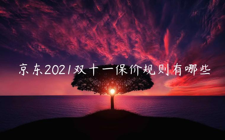 京東2021雙十一保價規(guī)則有哪些